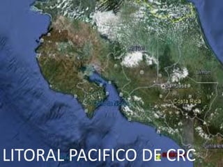 LITORAL PACIFICO DE CRC
 