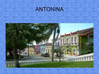 ANTONINA 