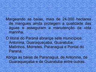 Margeando as baías, mais de 24.000 hectares de mangues ainda protegem a qualidade das águas e asseguram a manutenção da vida marinha.  O litoral do Paraná abrange sete municípios: Antonina, Guaraqueçaba, Guaratuba, Matinhos, Morretes, Paranaguá e Pontal do Paraná. Abriga as baías de Paranaguá, de Antonina, de Guaraqueçaba e de Guaratuba entre outras. 