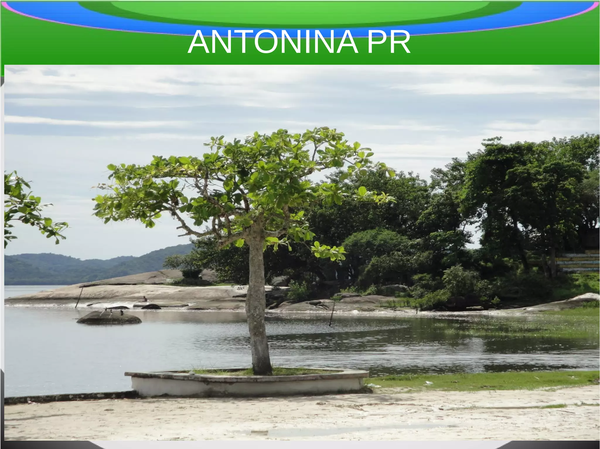 ANTONINA PR
 
