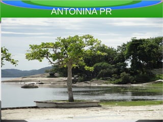ANTONINA PR
 