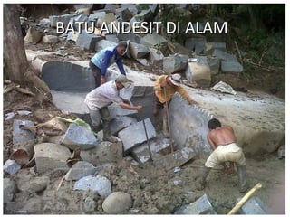 BATU ANDESIT DI ALAMBATU ANDESIT DI ALAM
 