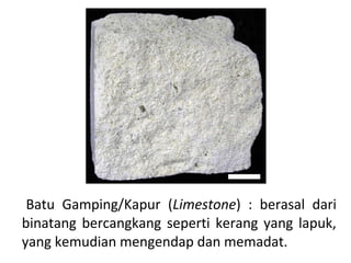 Batu Gamping/Kapur (Limestone) : berasal dari
binatang bercangkang seperti kerang yang lapuk,
yang kemudian mengendap dan memadat.
 