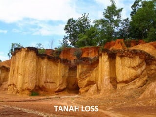 TANAH LOSS
 