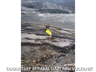 TANAH TUFF BERASAL DARI ABU VULKANIKTANAH TUFF BERASAL DARI ABU VULKANIK
 