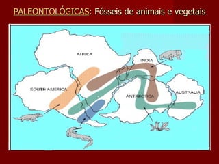 PALEONTOLÓGICAS :  Fósseis de animais e vegetais 