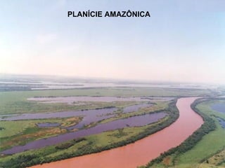 PLANÍCIE AMAZÔNICA

 