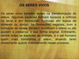 OS SERES VIVOS
Os seres vivos também atuam na transformação do
relevo. Algumas espécies formam buracos e orifícios
na terra e em formações rochosas em busca de
alimento ou abrigo. As formações vegetais, com a
formação de raízes, também modificam o relevo ou até
ajudam a preservar a sua forma original. Entretanto,
dentre todas as espécies de animais, é o ser humano
quem mais transforma o relevo, atuando tanto
diretamente quanto indiretamente nesse processo.

 