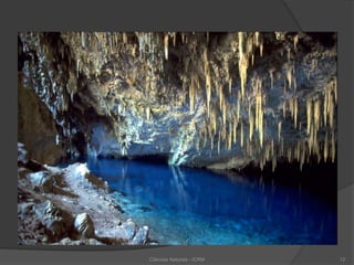 Ciências Naturais - ICRM 12
 