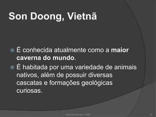 Son Doong, Vietnã
 É conhecida atualmente como a maior
caverna do mundo.
 É habitada por uma variedade de animais
nativos, além de possuir diversas
cascatas e formações geológicas
curiosas.
Ciências Naturais - ICRM 22
 