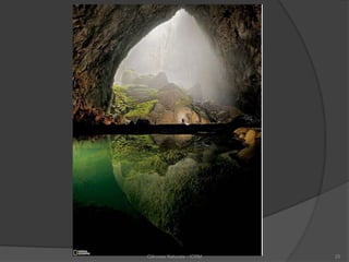 Ciências Naturais - ICRM 25
 