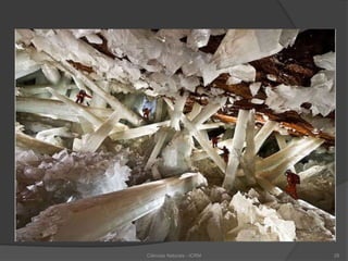 Ciências Naturais - ICRM 28
 