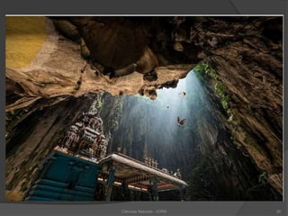 Ciências Naturais - ICRM 30
 