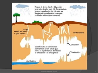Ciências Naturais - ICRM 5
 