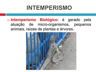 INTEMPERISMO
 Intemperismo Biológico: é gerado pela
atuação de micro-organismos, pequenos
animais, raízes de plantas e árvores.
 
