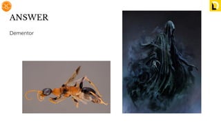 ANSWER
Dementor
 
