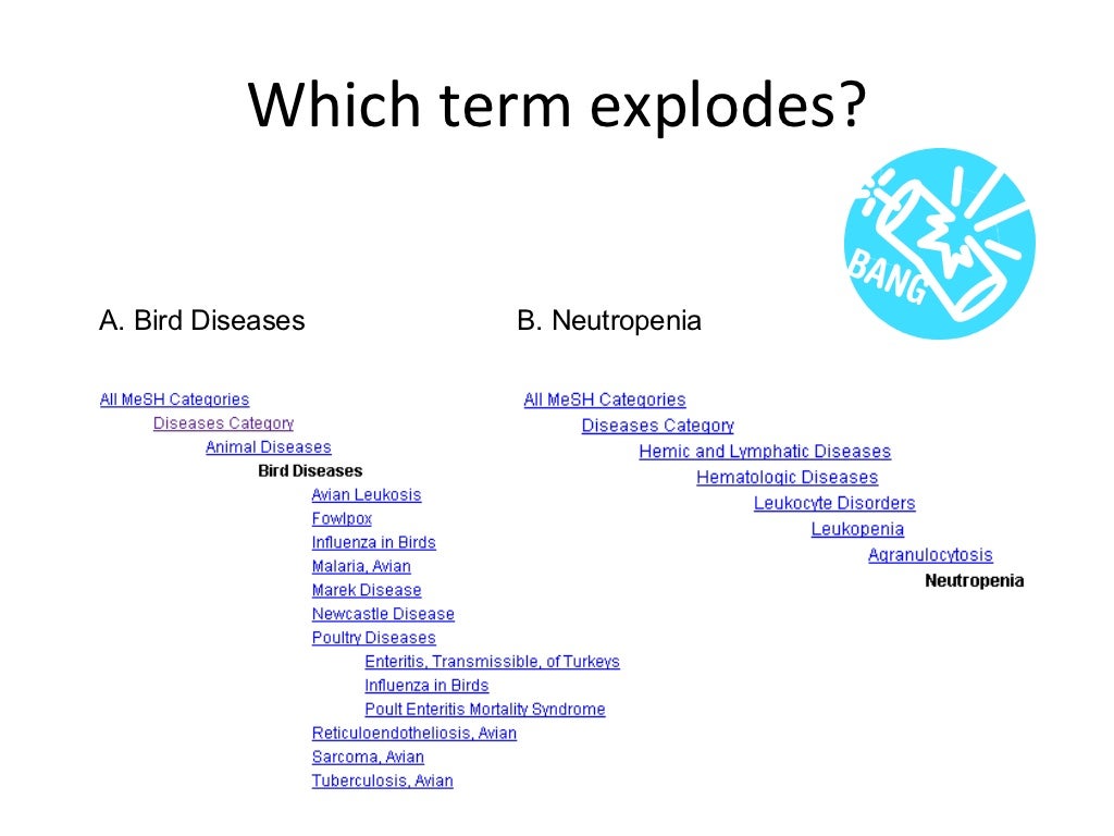 Steps in conducting a literature review picture