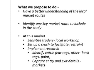 Outline of proposed livestock identification and traceability research activities in Loliondo