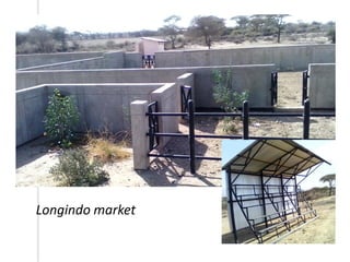 Outline of proposed livestock identification and traceability research activities in Loliondo