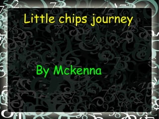 Little chips journey   By Mckenna 