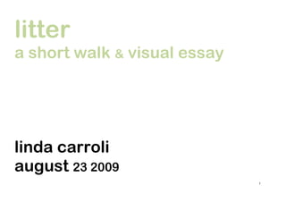 litter
a short walk & visual essay




linda carroli
august 23 2009
                              1
 