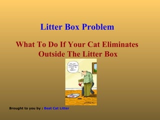 Litter Box Problem   What To Do If Your Cat Eliminates  Outside The Litter Box 