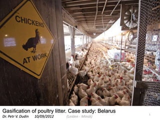 Gasification of poultry litter. Case study: Belarus
Dr. Petr V. Dudin 10/09/2012 (Leiden - Minsk)
1
 