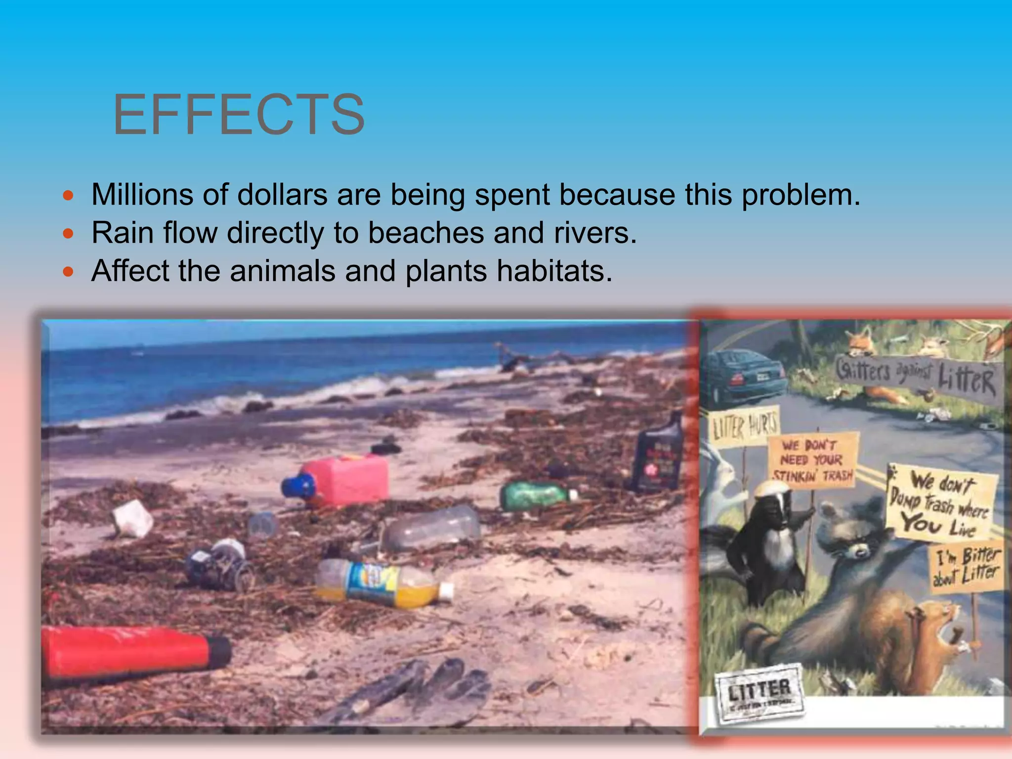 EFFECTS: it hurts people, animals and environment.Millions of dollars had been spent because this problem. Rain flow with litter directly to beaches and rivers. Affect the animals and plants habitats.