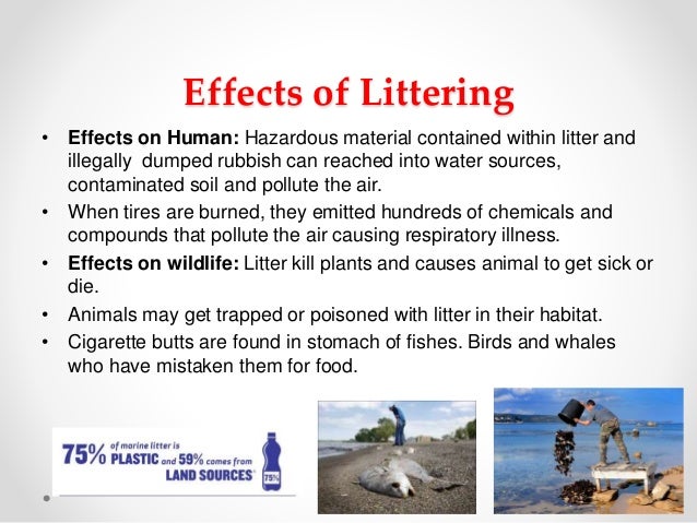 Litter Pollution Litter Pollution