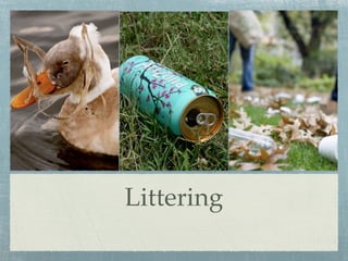 Littering
 