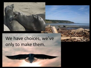 We have choices, we’ve
only to make them.
 