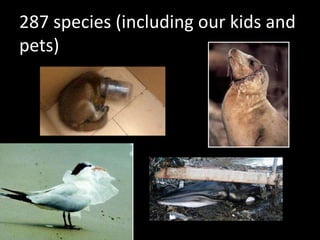 287 species (including our kids and
pets)
 