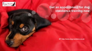 BY http://www.dog-ramblers.co.uk/
Get an appointment for dog
obedience training now
 