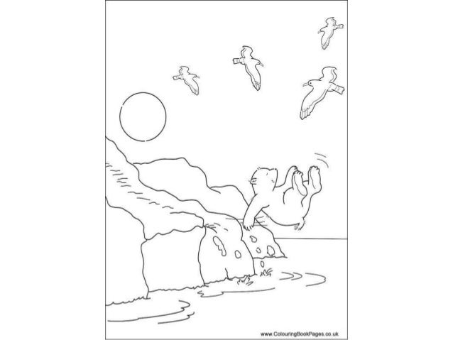 Little polar bear Colouring Pages and Kids Colouring Activities