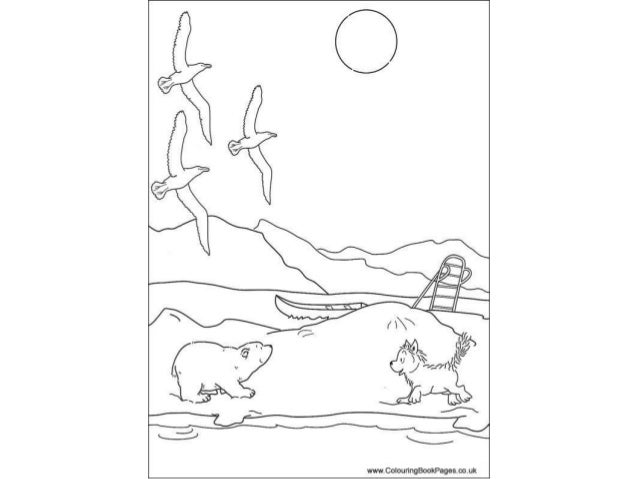 Little polar bear Colouring Pages and Kids Colouring Activities