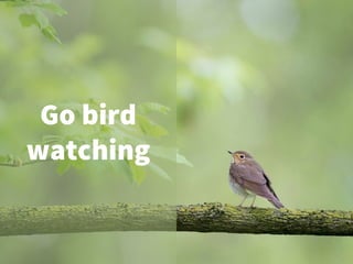 Go bird
watching
 