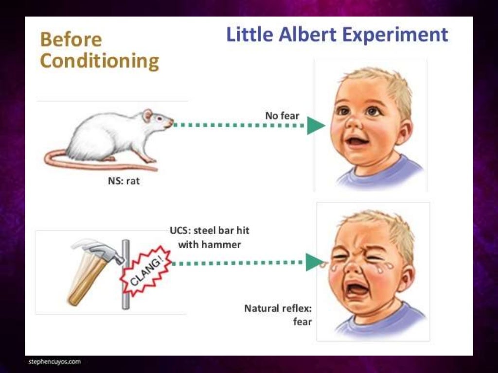 the little albert experiment hypothesis