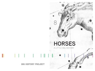 8
A LITTLE BIG HISTORY
HORSES
 