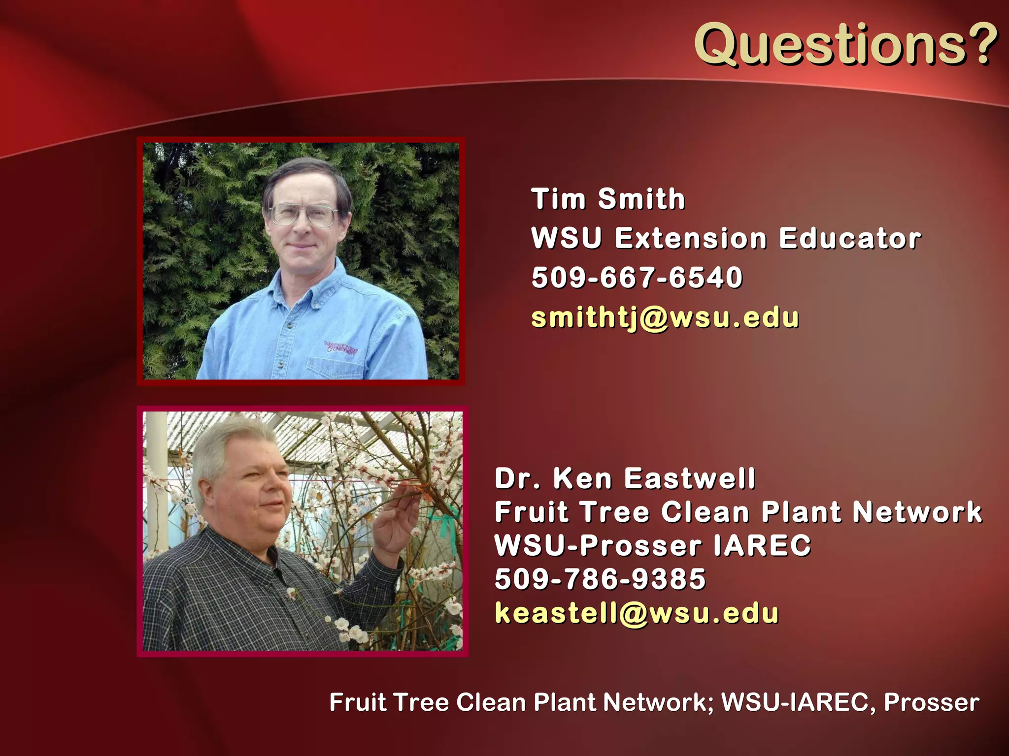 Questions? Tim Smith WSU Extension Educator 509-667-6540 [email_address] Dr. Ken Eastwell Fruit Tree Clean Plant Network WSU-Prosser IAREC 509-786-9385 [email_address]   Fruit Tree Clean Plant Network; WSU-IAREC, Prosser 