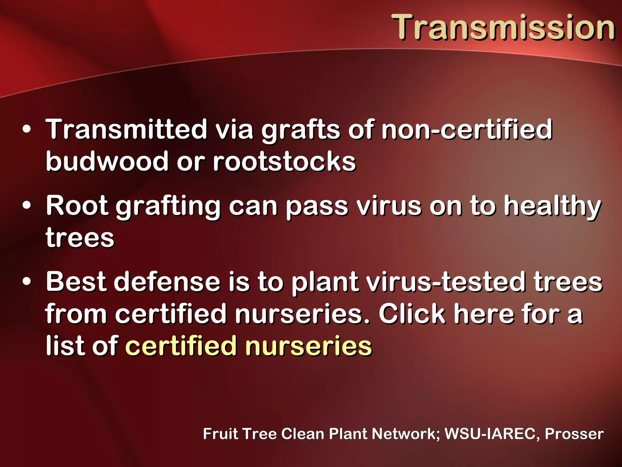 Transmission Transmitted via grafts of non-certified budwood or rootstocks  Root grafting can pass virus on to healthy trees Best defense is to plant virus-tested trees from certified nurseries. Click here for a list of  certified nurseries  Fruit Tree Clean Plant Network; WSU-IAREC, Prosser 