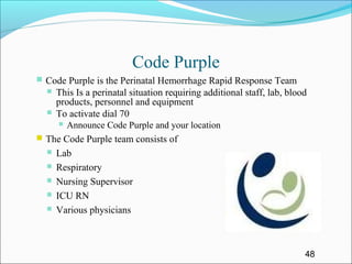 Little company of mary | PPT