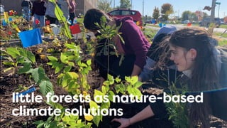 little forests as nature-based
climate solutions
 