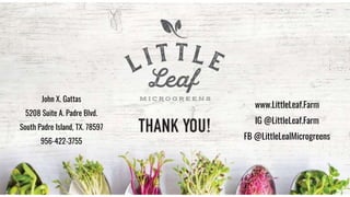 John X. Gattas
5208 Suite A. Padre Blvd.
South Padre Island, TX. 78597
956-422-3755
www.LittleLeaf.Farm
IG @LittleLeaf.Farm
FB @LittleLealMicrogreens
 