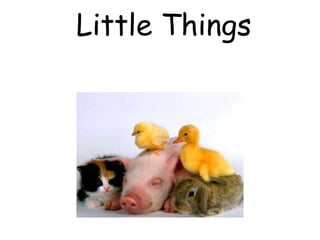 Little Things
 