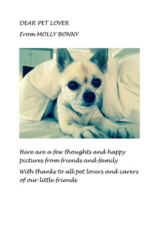 DEAR PET LOVER
From MOLLY BONNY

Here are a few thoughts and happy
pictures from friends and family
With thanks to all pet lovers and carers
of our little friends

 