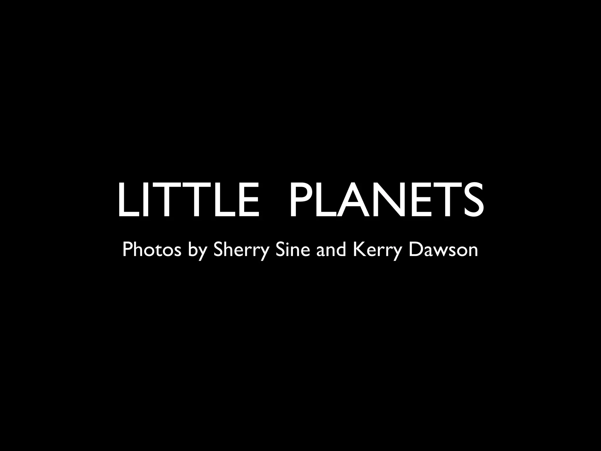 LITTLE PLANETS
Photos by Sherry Sine and Kerry Dawson