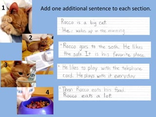1Add one additional sentence to each section.234