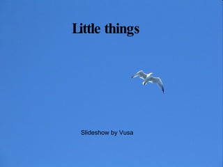 Little things Slideshow by Vusa 