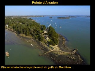 Pointe d’Arradon
Elle est située dans la partie nord du golfe du Morbihan.
 