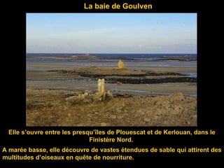 La baie de Goulven
Elle s’ouvre entre les presqu’îles de Plouescat et de Kerlouan, dans le
Finistère Nord.
A marée basse, elle découvre de vastes étendues de sable qui attirent des
multitudes d’oiseaux en quête de nourriture.
 